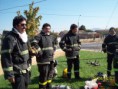 /album/galeria-cia-/a100-2895-jpg/